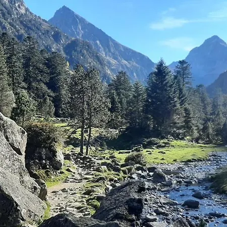 Agreable Avec Balcon Dans Calme Apartment *